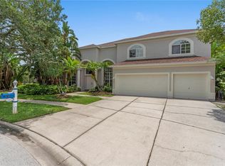 19102 Harborbridge Ln, Lutz, FL 33558