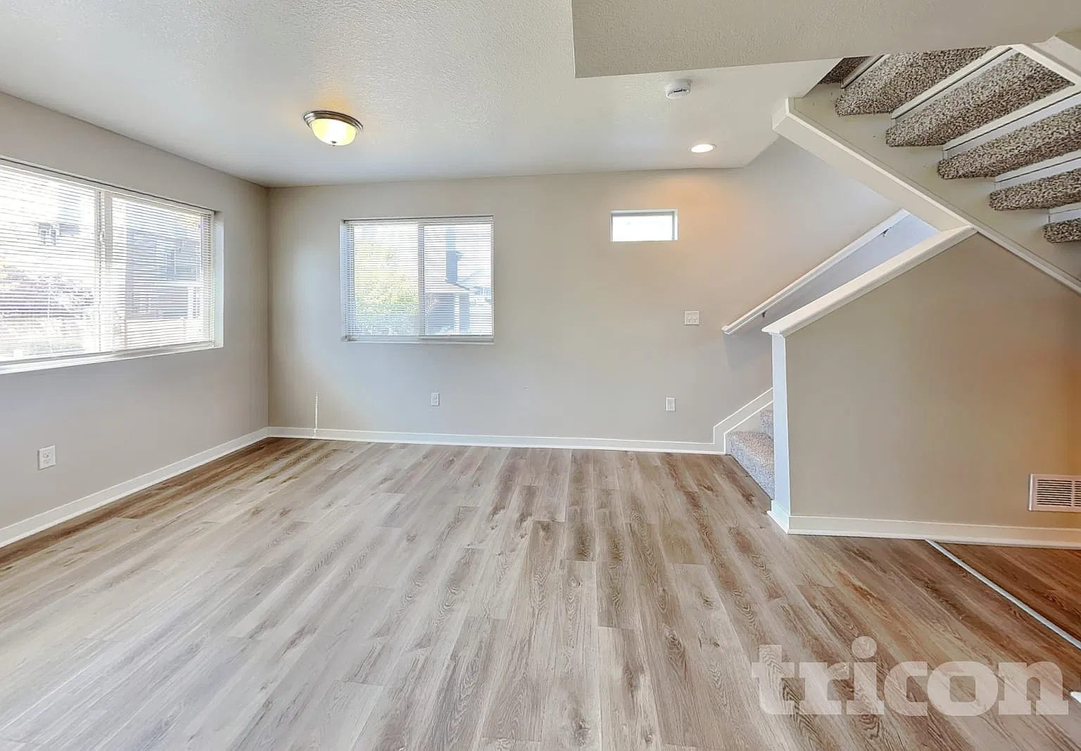 4177 Coriander Street Castle Rock CO — Photo 3
