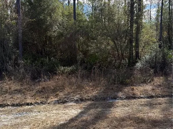 0 Heritage Cir, Hortense, GA 31543