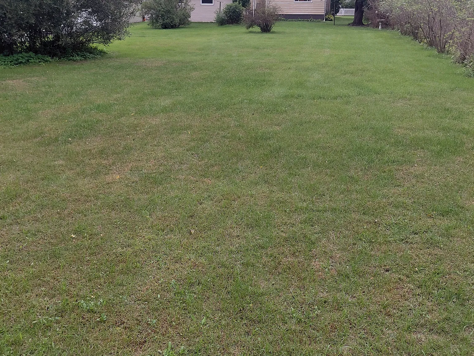 4 bed, 1400 sqft, $1,475 — Photo 3