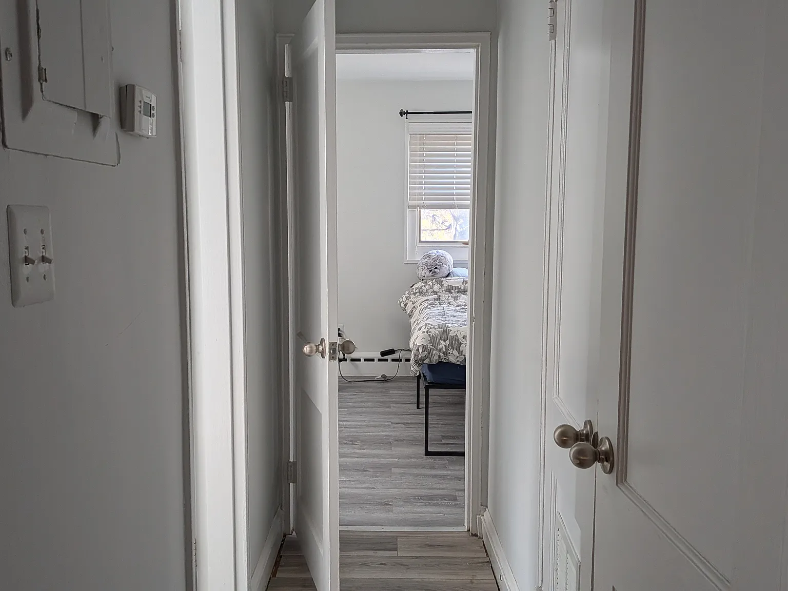 1 bed, 525 sqft, $1,700 — Photo 4