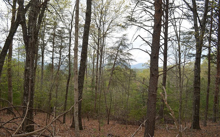 1st image of LOT 7 Warnock Mountain Acres