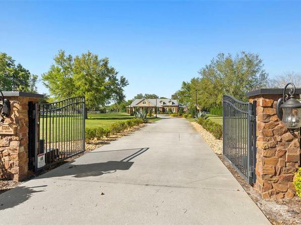 13206 Lewis Raulerson Rd, Dover, FL 33527