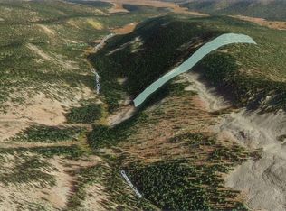 Boss Lode Claim, Gunnison, CO 81231