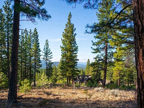 5th image of 462 Grizzly Ranch Rd