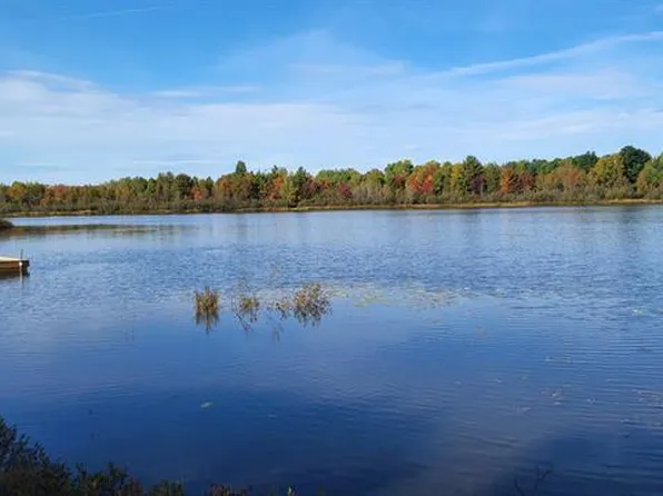 LOT 121 W Birch Shores Dr #121, Trout Lake, MI 49793