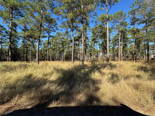 65 Private Road 6026 Lot 65, Brookeland, TX 75931