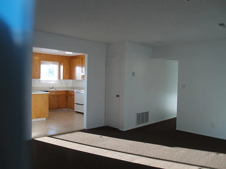 Livingroom and kitchen