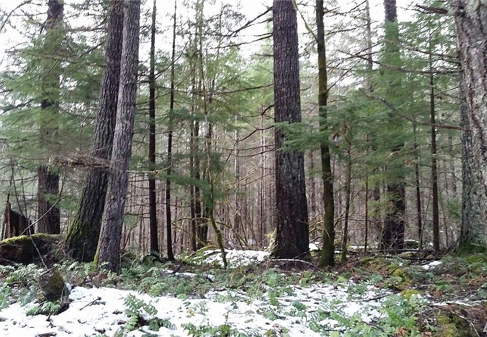 2nd image of 891 Cannon Rd