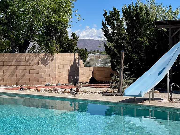 18165 Eucalyptus St #B — Photo 36