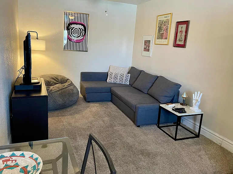 Family Room featuring a 47" TV and pull out sleeper sofa.