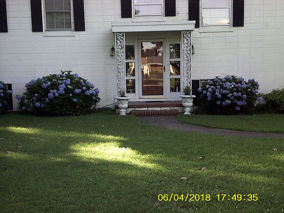 Hydrangeas in front of house