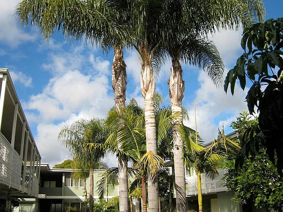 5th image of 1814 Westcliff Dr APT 10