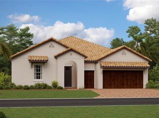 17422 Holly Well Ave, Wimauma, FL 33598