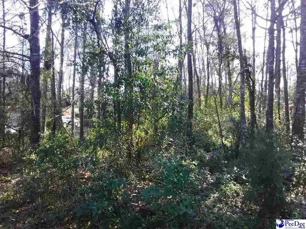Ruby Rd, Hartsville, SC 29550