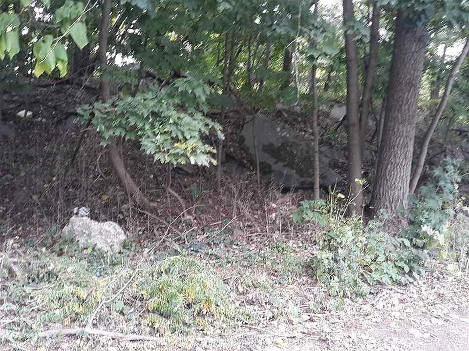 2nd image of 198 Park Ln