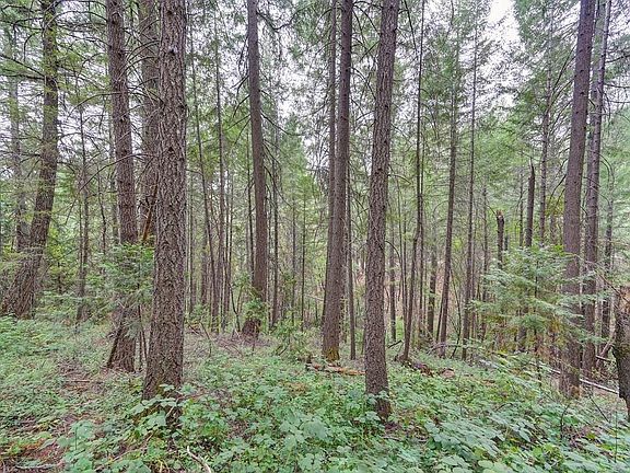 4th image of 3701 Marshall Rd