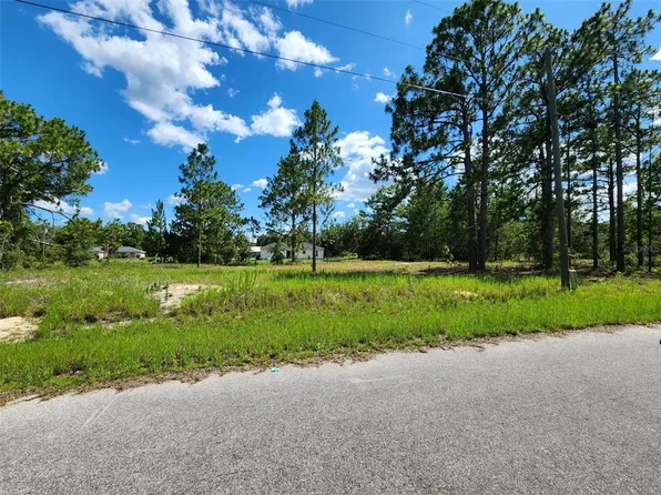 Malauka Radial Run Lot 21, Ocklawaha, FL 32179