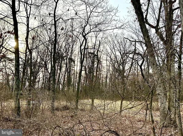 Lots 1 2 & 6 North Timber Ridge Rd, Cross Junction, VA 22625