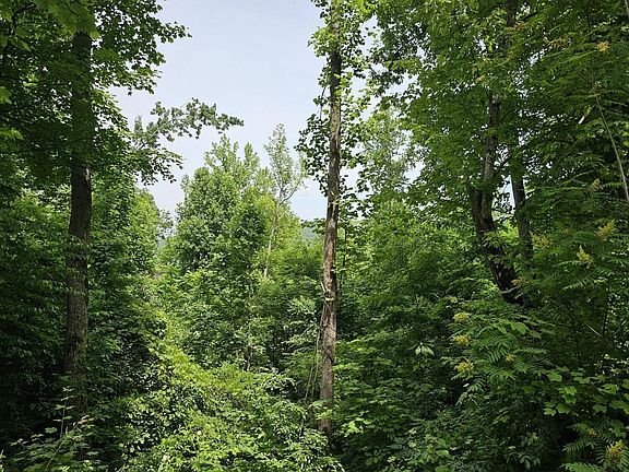 4th image of 535 Forest Springs Dr Lot 6