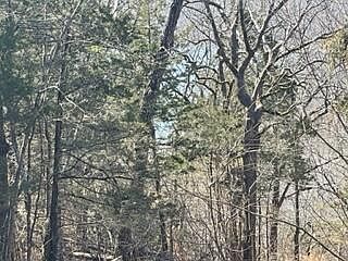2nd image of LOT 5 Talking Rocks Rd