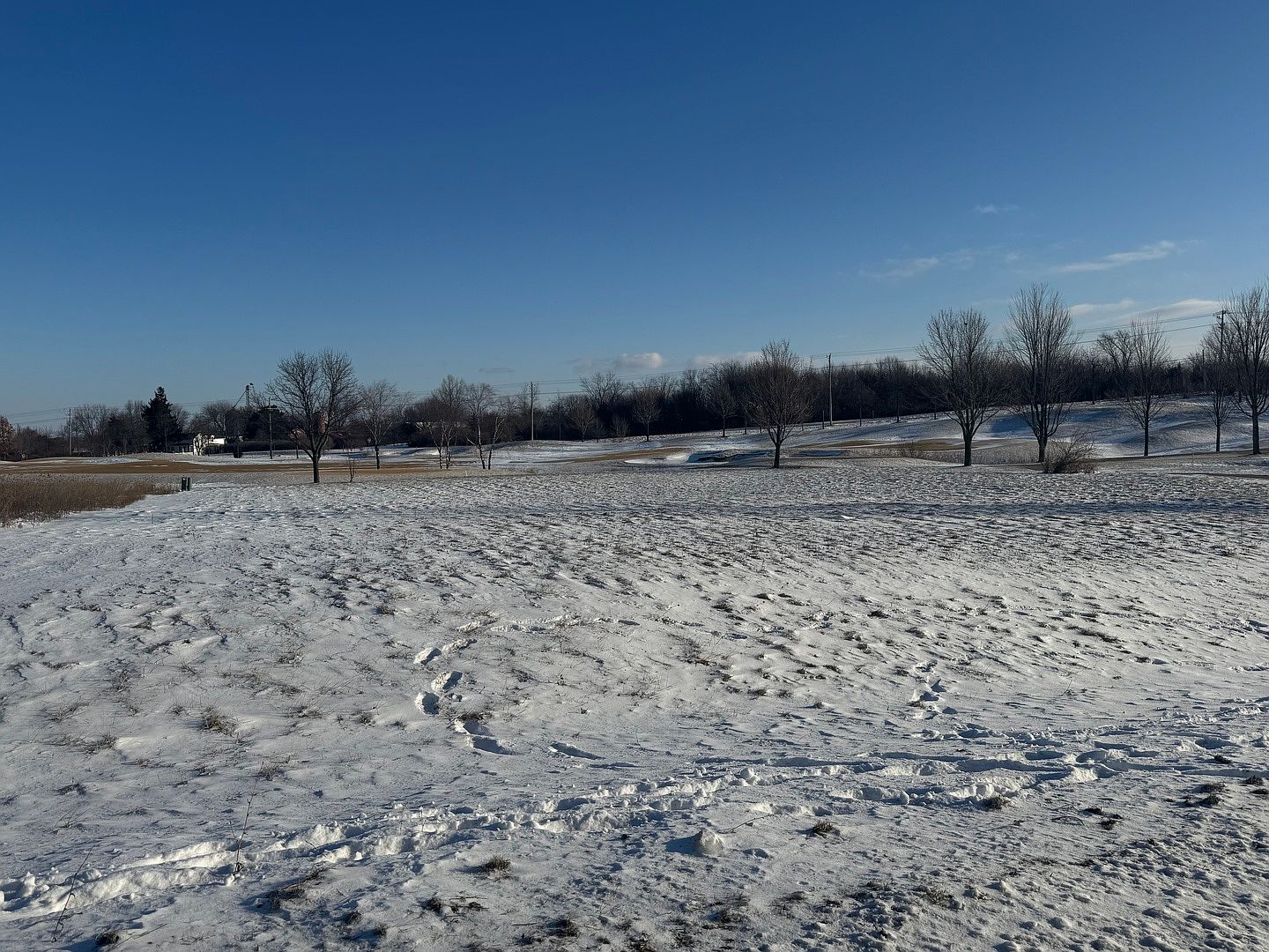 10006 Saint Andrews Dr Lot 41