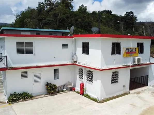 Carr 181 Km 13 Bo Espino, San Lorenzo, PR 00754