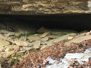 254 Carico Rd, Galena, MO 65656