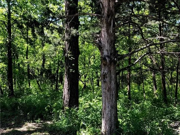 22 S Lakeside Cir, Linn Valley, KS 66040