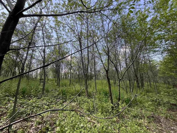 Lot 22 Fur Lane #22, Oxford, WI 53952