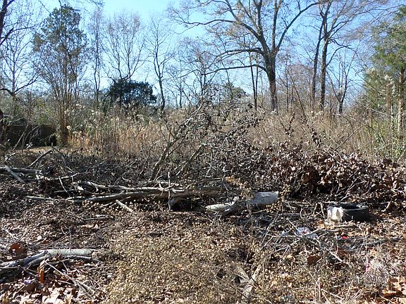 2nd image of 1463 Wooddell Dr