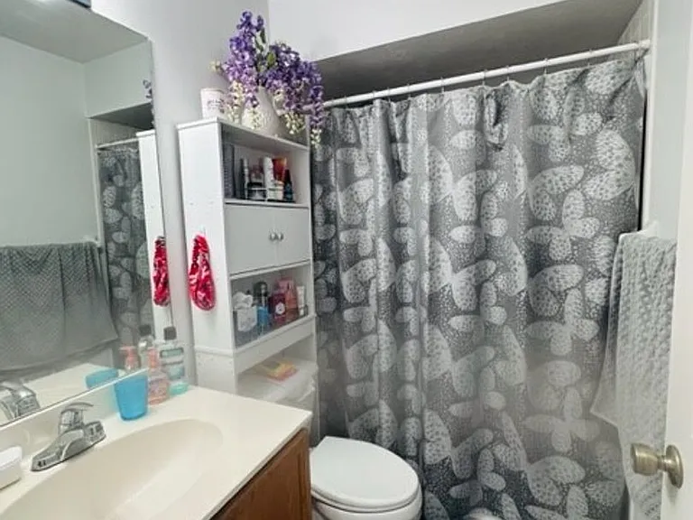28230 Pine Haven Way #70 — Photo 7