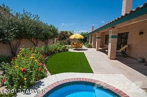 Backyard-2