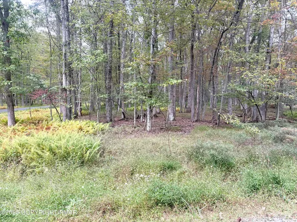 Willow Dr, Jim Thorpe, PA 18229