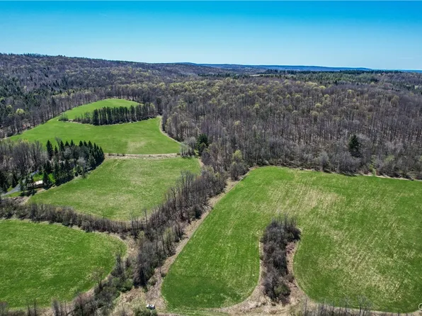 0 Hardscrabble Rd #20, Erieville, NY 13061