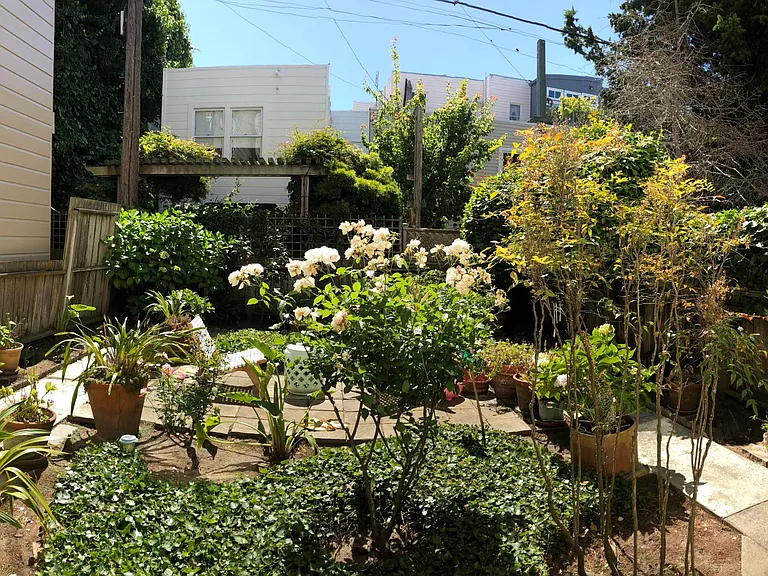 3513 Pierce St — Photo 12
