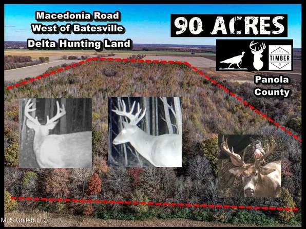 1275 Macedonia Rd, Batesville, MS 38606