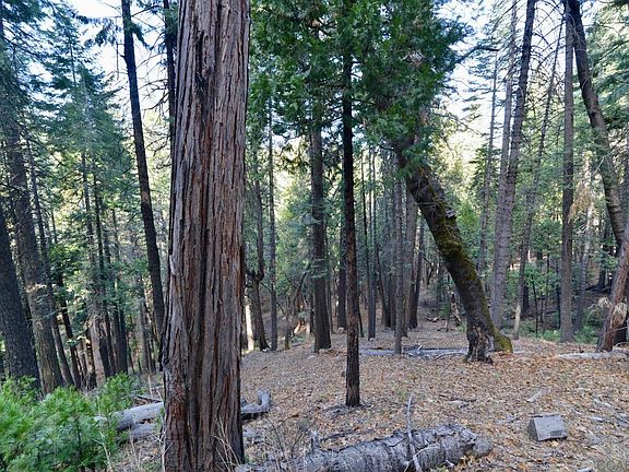 3rd image of 1519 Coniferous Dr #349