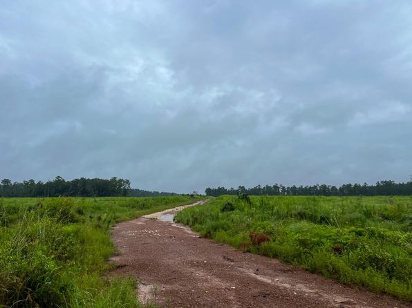 6 Sunflower Rd, Livingston, TX 77351