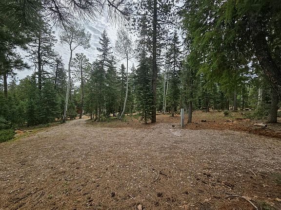 2nd image of 3135 N Powerline Rd