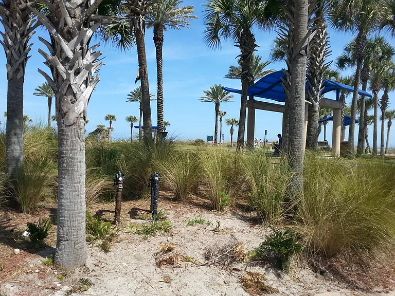 OCEAN FRONT PARK HALF BLOCK