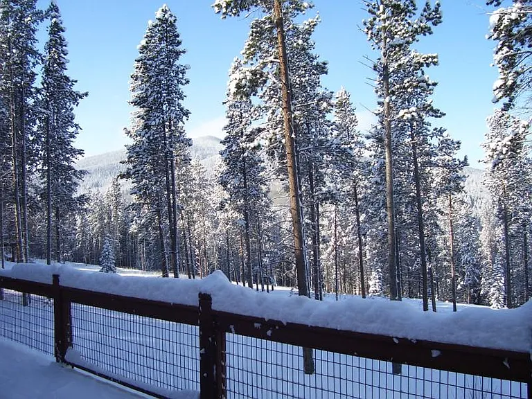 Winter view from deck