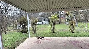 Picture 26