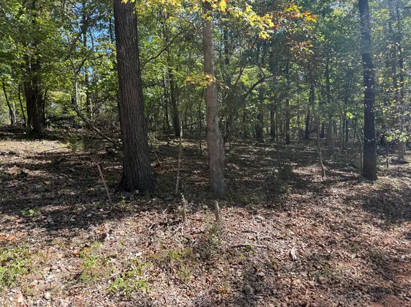 Lot #3 Builders Ln, Anderson, MO 64831