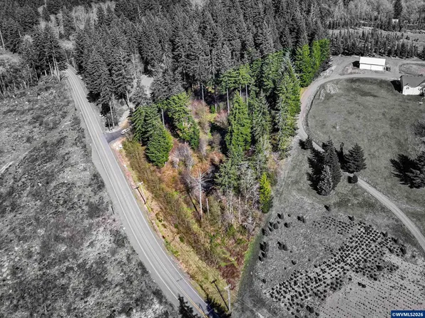 19830 Sharon Tony Way SE, Silverton, OR 97381