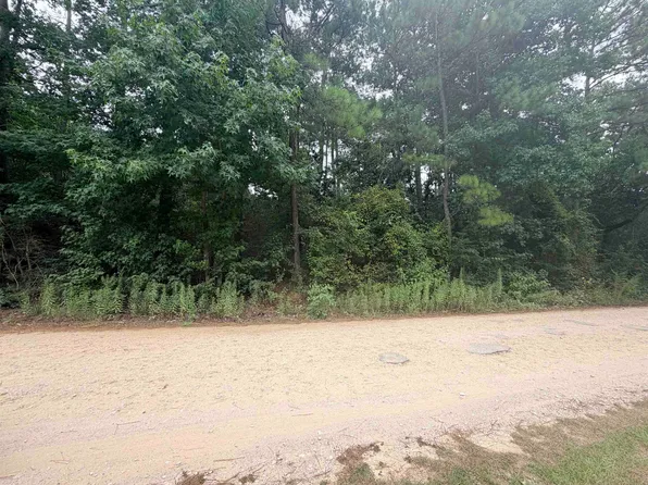 Ivanhoe Dr E, Woodville, TX 75979