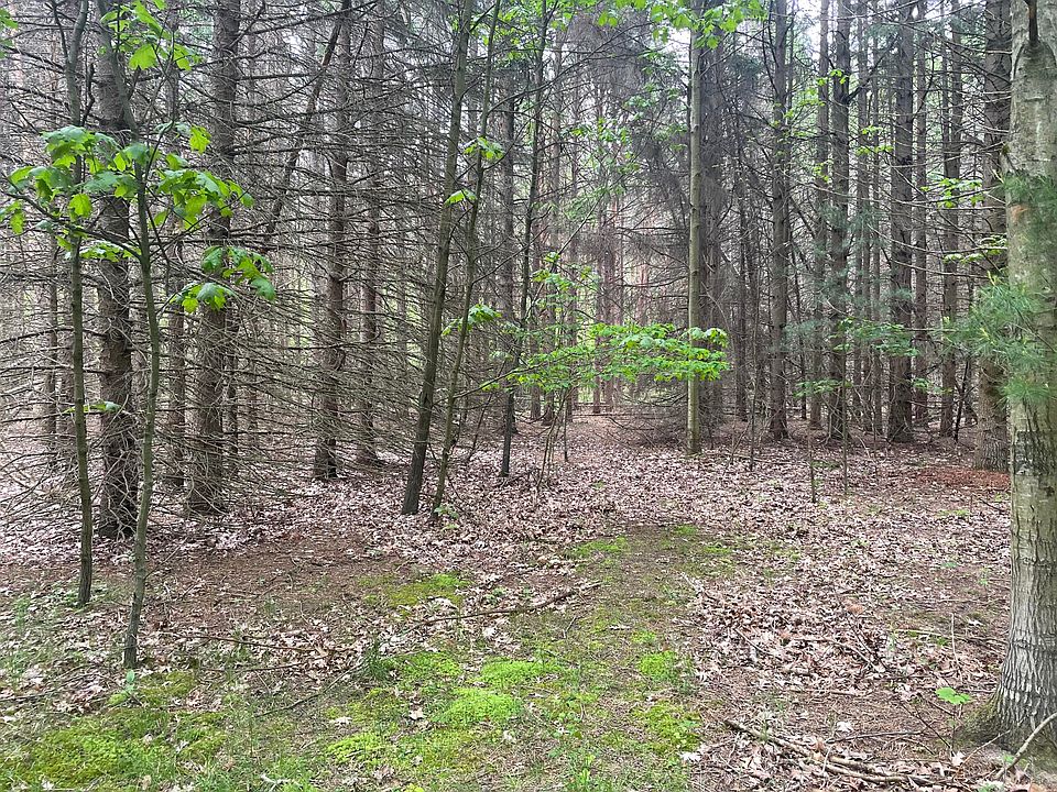 2nd image of Silver Lake Dr