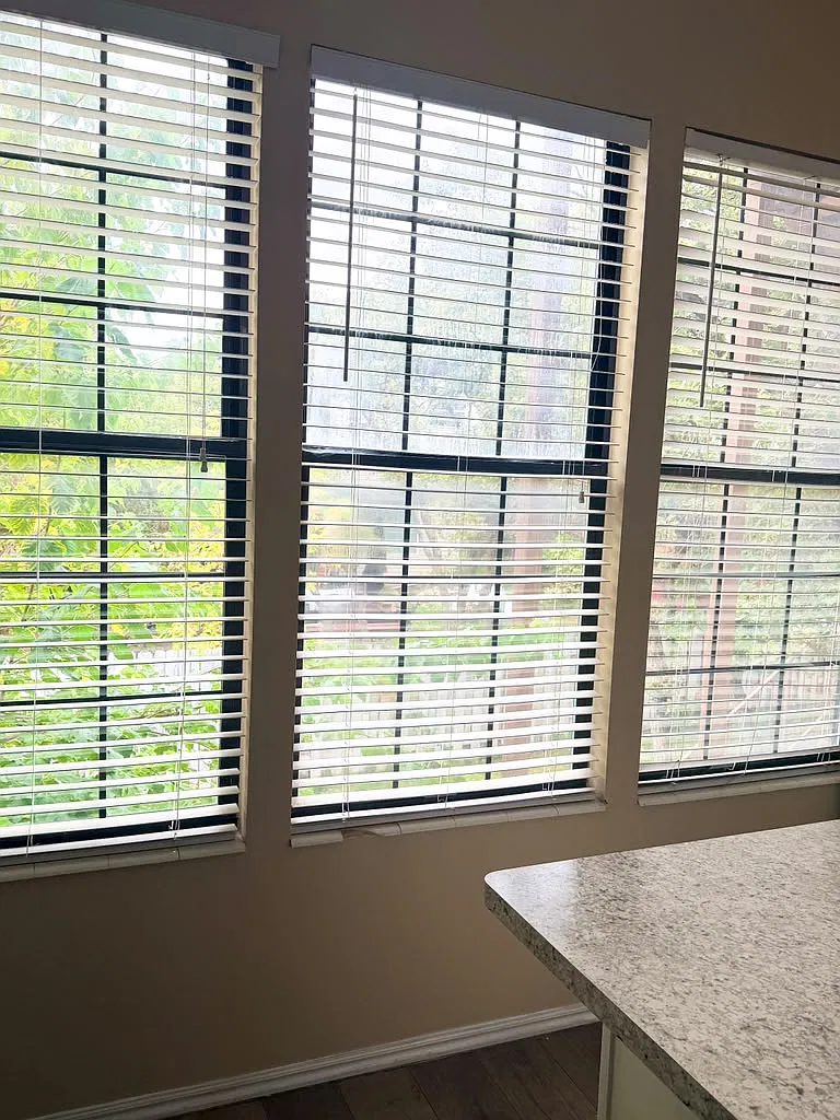 2 bed, 1100 sqft, $1,390 — Photo 2