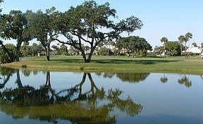 3rd image of 321 Sabal Palm Ln