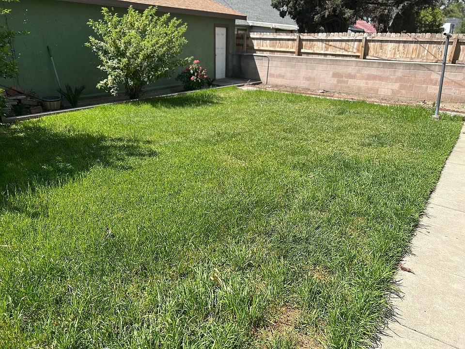 Backyard common area